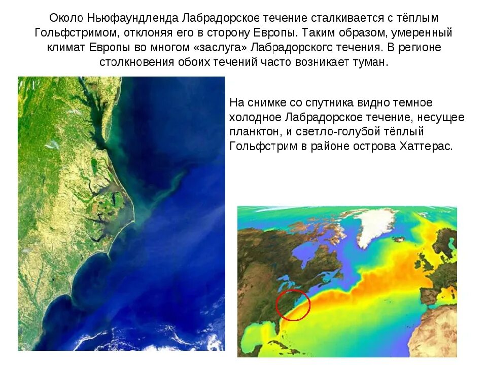 Прочитайте текст 2 гольфстрима. Гольфстрим и Лабрадорское течение. Гольфстрим презентация. Сообщение о течении. Лабрадор течение на карте.