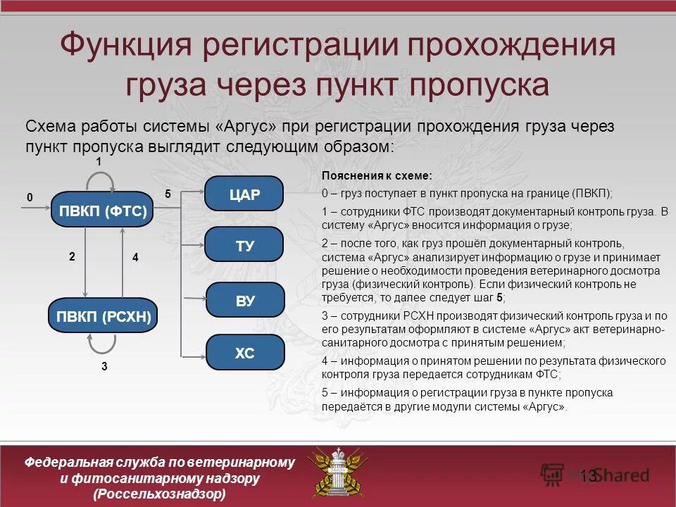 Функции санитарного надзора