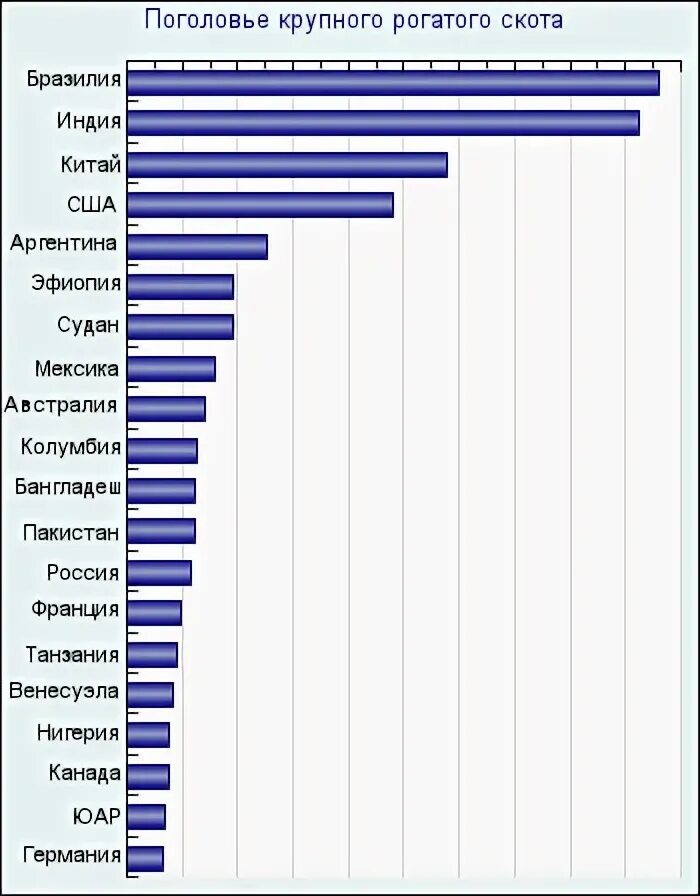 Страны по поголовью крупного рогатого. Самое крупное поголовье крупного рогатого скота. Факторы поголовья крупного рогатого скота Бразилии. По поголовью КРС Бразилия занимает. Почему Бразилия Страна Лидер по крупному рогатому скотоводству.