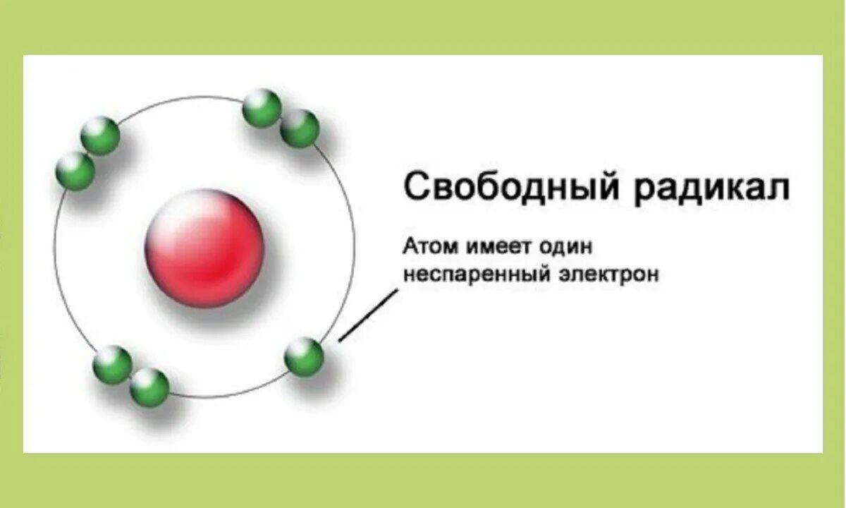 Свободные радикалы. Свободные радикалы в организме. Свободные радикалы и антиоксиданты в организме. Свободные радикалы воды. Кожей радикал