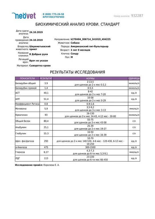 Направление на биохимический анализ крови. Нормы биохимии крови у щенков. Анализ крови собаки. Анализ крови собаки норма. Биохимический анализ крови у собак норма.