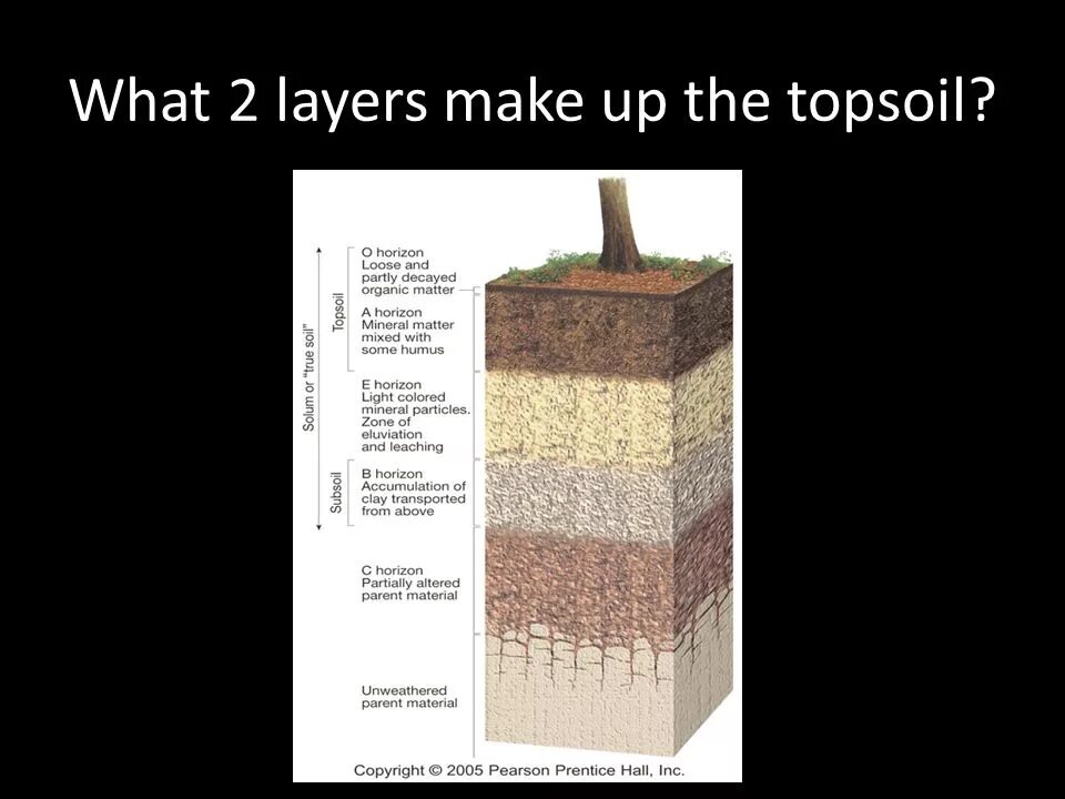 Two layer. The Mechanical physical characteristics and the granular component of the Soil.