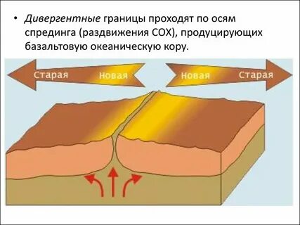 Литосферные плиты движутся навстречу друг другу