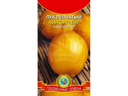 Джаз лук ин