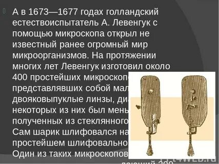 История микроскопа презентация