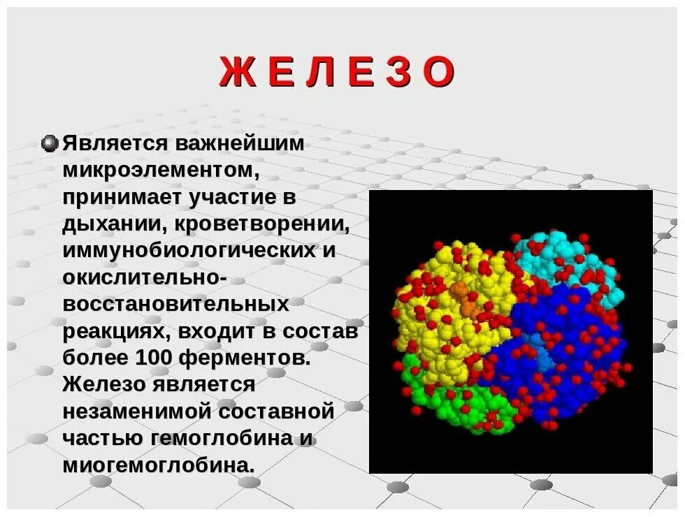 Что такое железо в организме