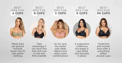 bra size c - www.akubursa.com.