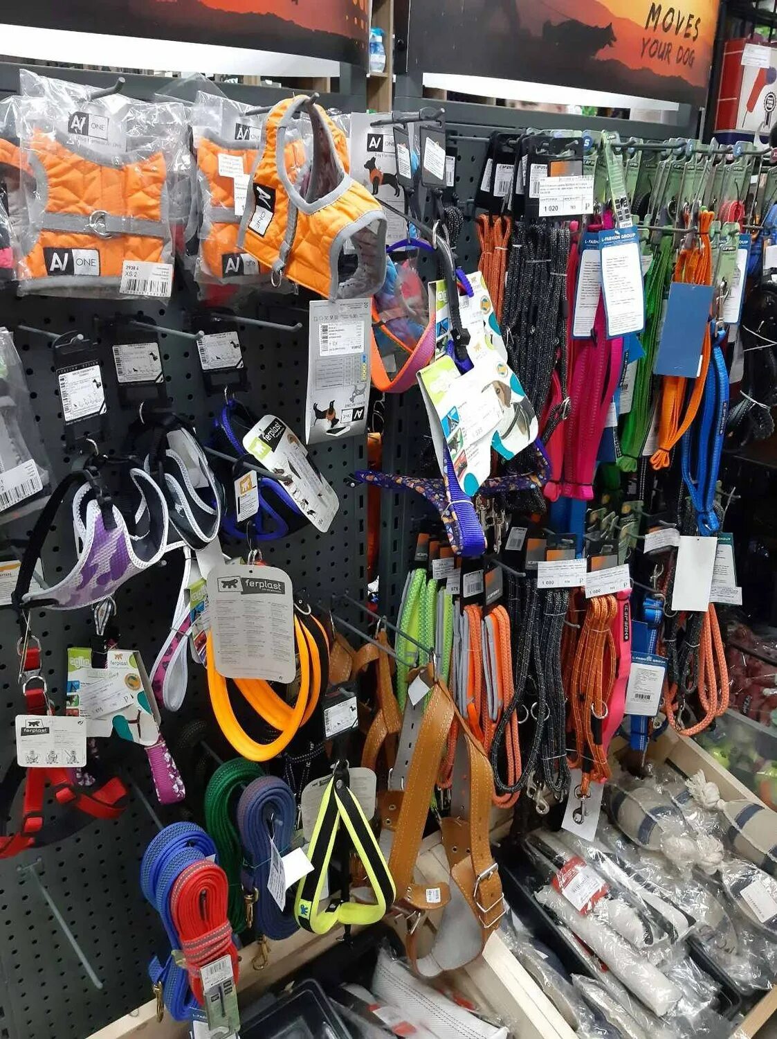 Зоодело. Зоодело. Зооэкспресс волгоград. Зоодело волгоград каталог товаров. Зоодело.