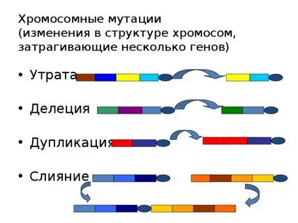 Результат хромосомной мутации