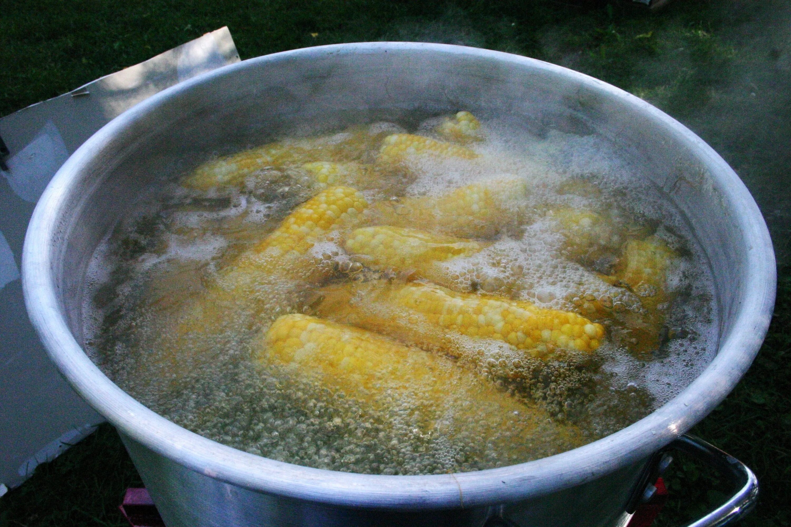 Вода для приготовления пищи. Блюда из воды. Волосы в кастрюле. Boil food. Что приготовить без воды