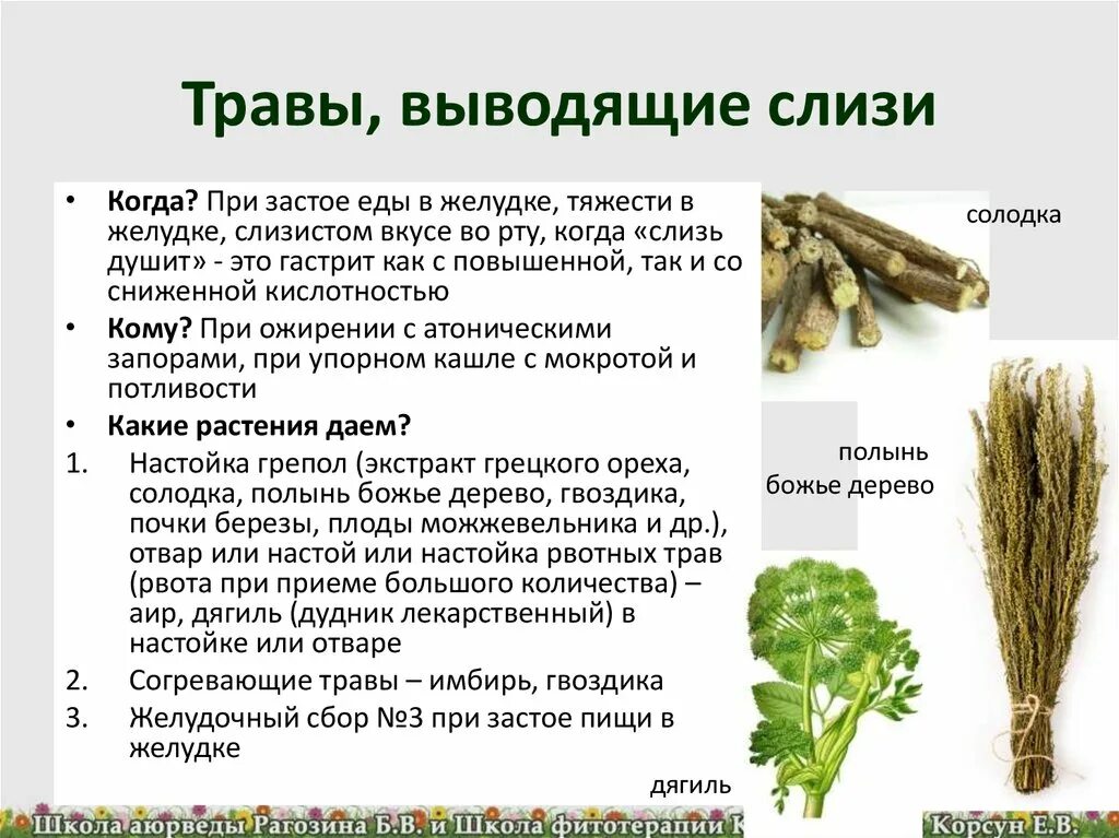 Травы для выведения мокроты. Продукты для выведения слизи. Травы для выведения слизи из организма. Вывод слизи из организма.