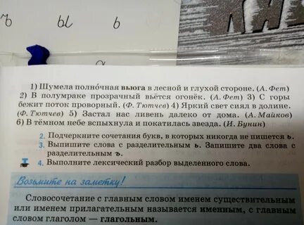 Ночная птица коснулась меня крылом выпишите словосочетания