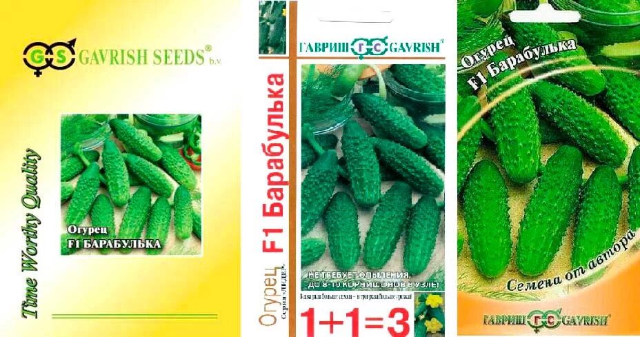 Семена огурец форсаж f1. Огурец сорт форсаж. Огурец форсаж f1. Bistan xiyar turshusu. Огурец сорт форсаж.