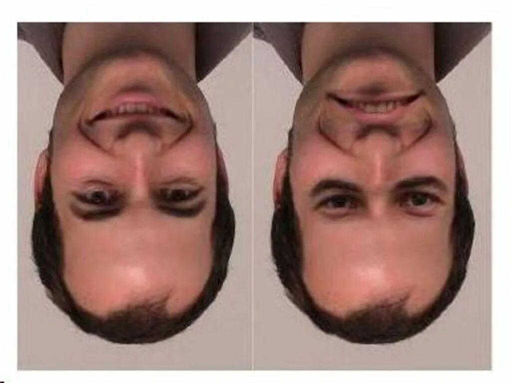 Лицо перевертыш