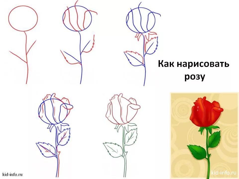 Рисунки цветов для начинающих