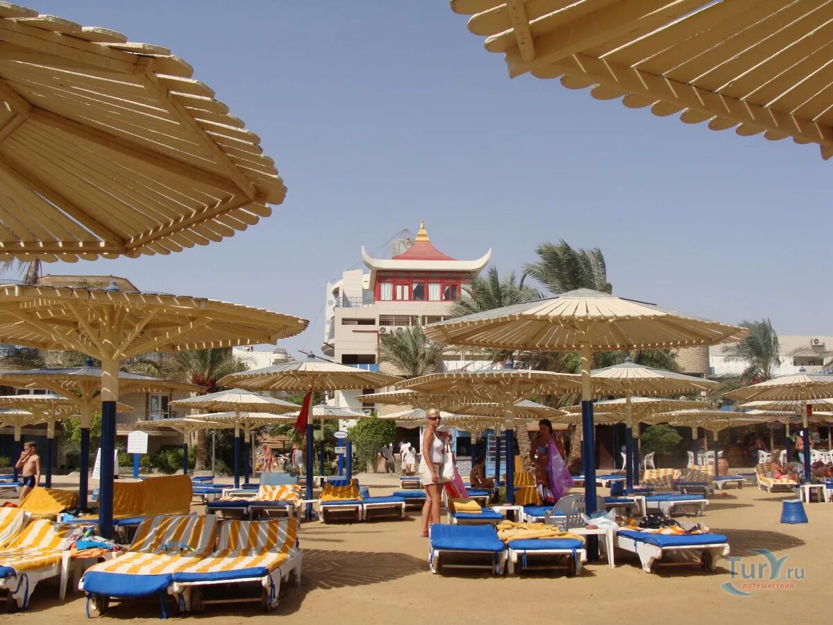 Seagull beach hurghada 4. Сеагул Бич Резорт Хургада 4. Seagull Beach Resort 4 Египет. Seagull Beach Resort Club 4 Хургада. Seagull Beach Resort 4 Египет Хургада 1 линия.