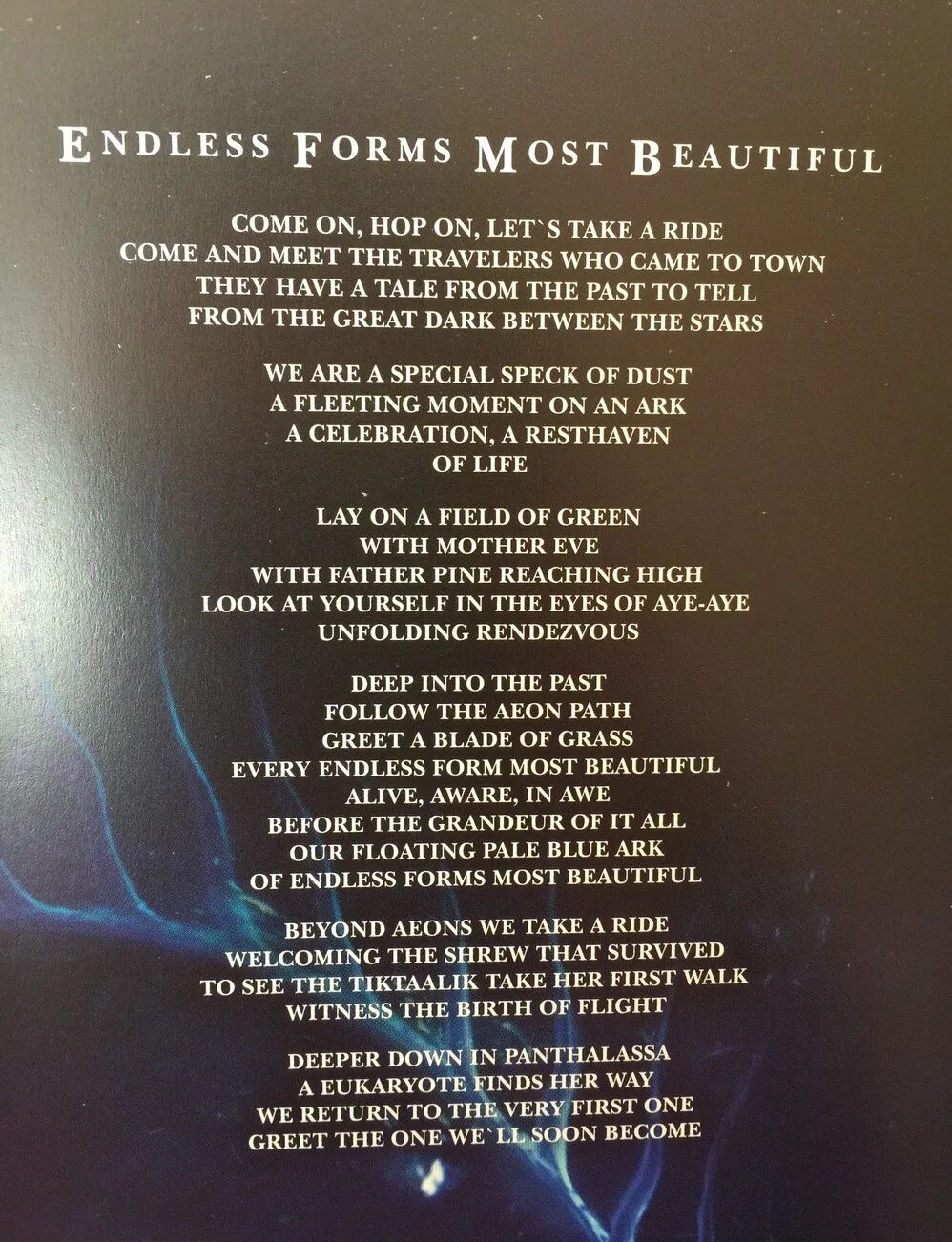 Endless перевод на русский. Nightwish текст. Endless forms most beautiful текст. Nightwish endless forms most beautiful. Nightwish перевод.