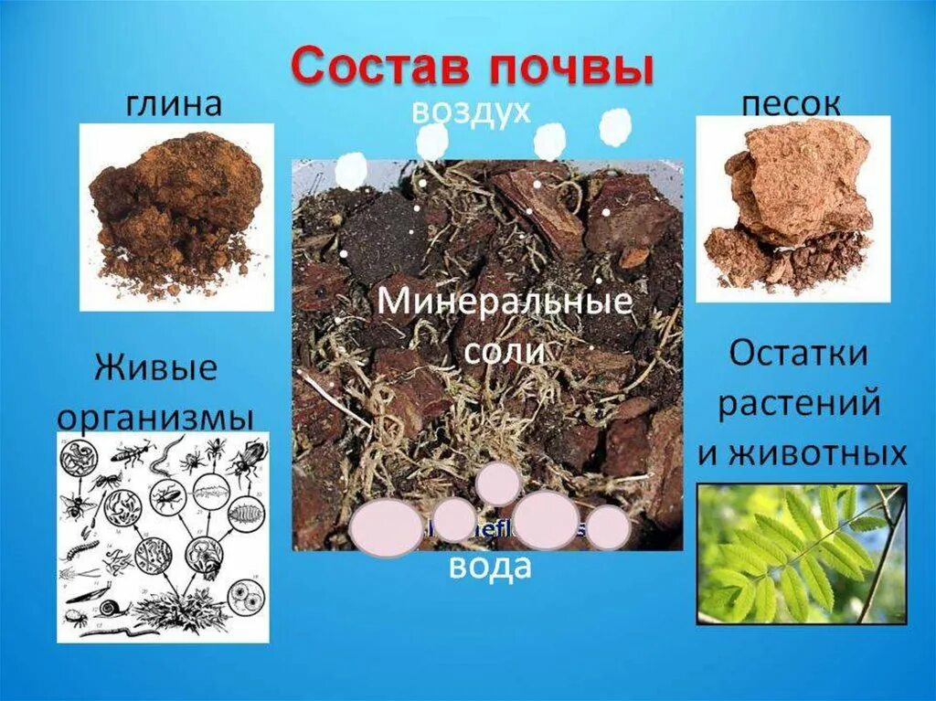 Почва и использование химических. Почва презентация. состав почвы. почва для дошкольников. презентация на тему почва.