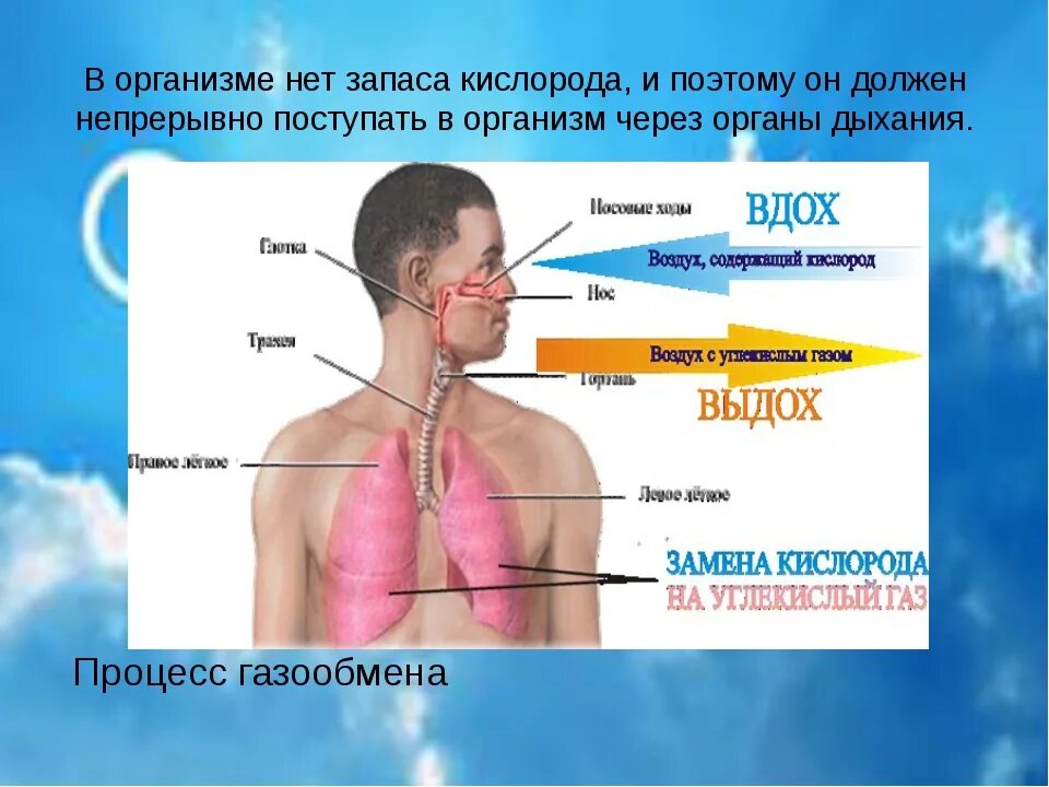 Кислород не поступает в мозг