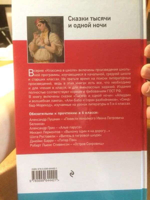 Ошибка одной ночи читать. Рецензия на из сказал тысячи и одной ночи детская синия.