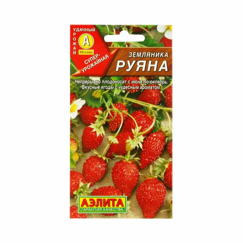 Семена земляника руяна. Земляника руяна описание сорта. Земляника сорт руяна. Земляника руяна описание. Земляника сорт руяна.
