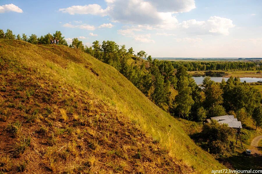 Памятники природы тюменской области. Ишимские Бугры гора любви. Ишимские Бугры гора любви Ишимский район. Гора любви Тюмень. Сингульский лес Тюменской области.