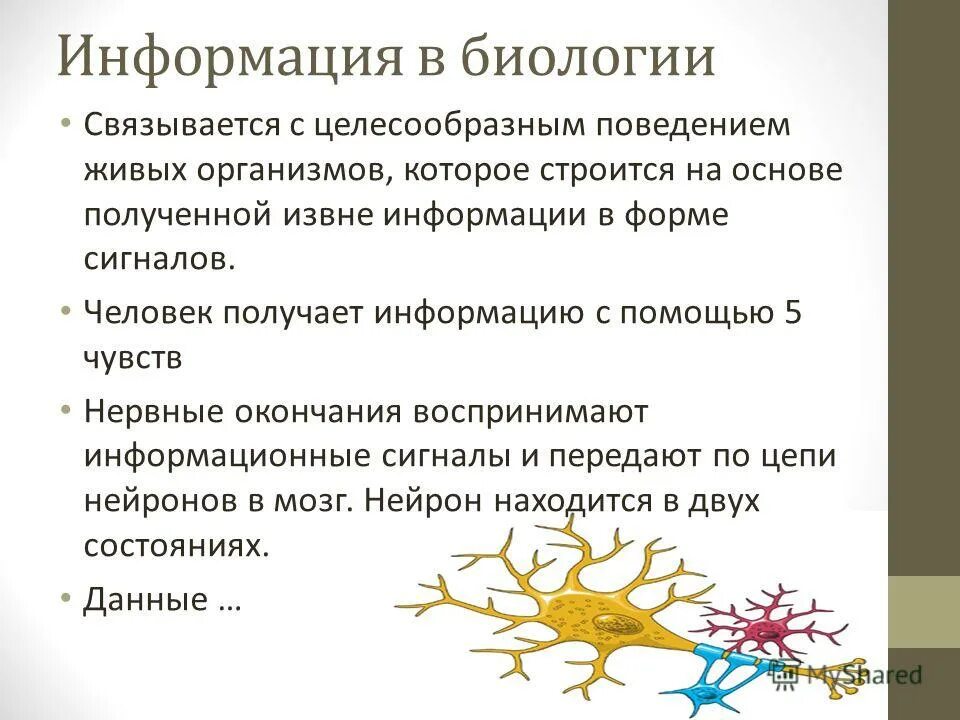 Информация в биологии. Источники биологической информации. Источники информации в биологии. Биологическая информация определение.