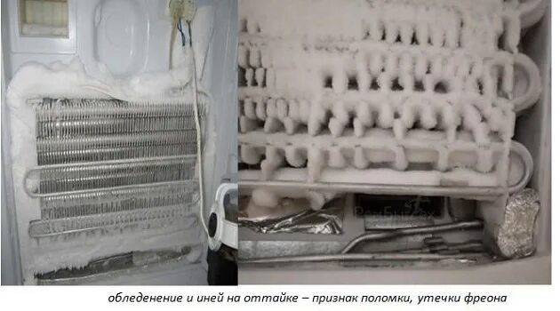 Морозильник морозит а холодильник нет. Радиатор холодильника. замерз испаритель холодильник. обледенение решетки радиатора в холодильнике. чистка радиатора холодильника.