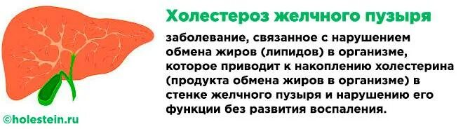 Холестерин в желчном пузыре. Холестероз желчного пузыря. Холестероз желчного пузыря симптомы. Холестероз стенки желчного пузыря.