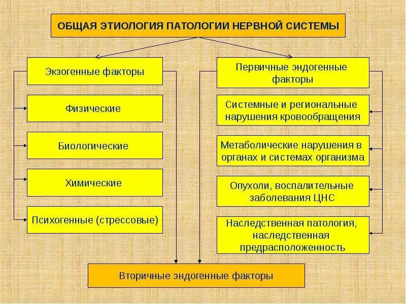 Общий патогенез нарушений деятельности нервной системы. Нарушения функции нервной системы патогенез. Общие механизмы развития нарушений функций нервной системы. Факторы повреждения нервной системы.