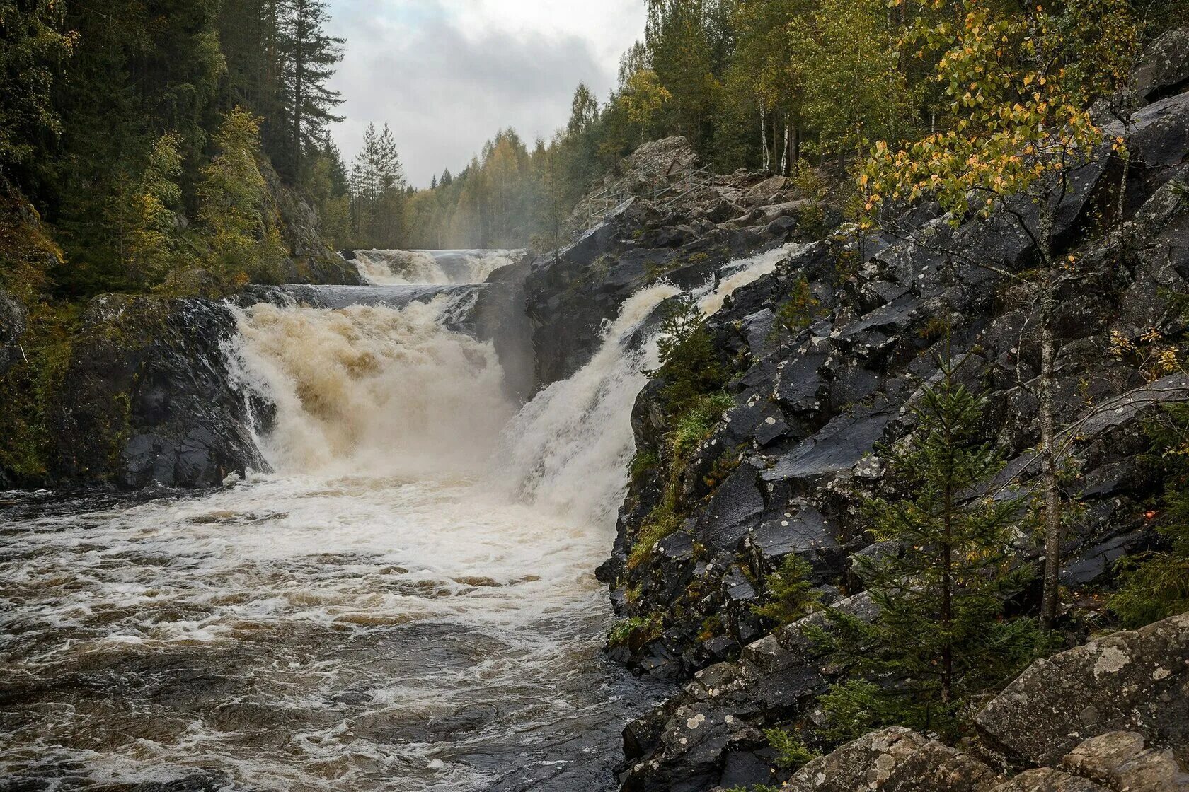 заповедник и водопад кивач. парк кивач карелия. водопад кивач. парк кивач карелия. равнинный водопад кивач.