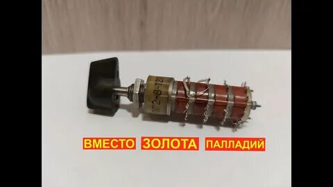 Золотистыми разбор 1