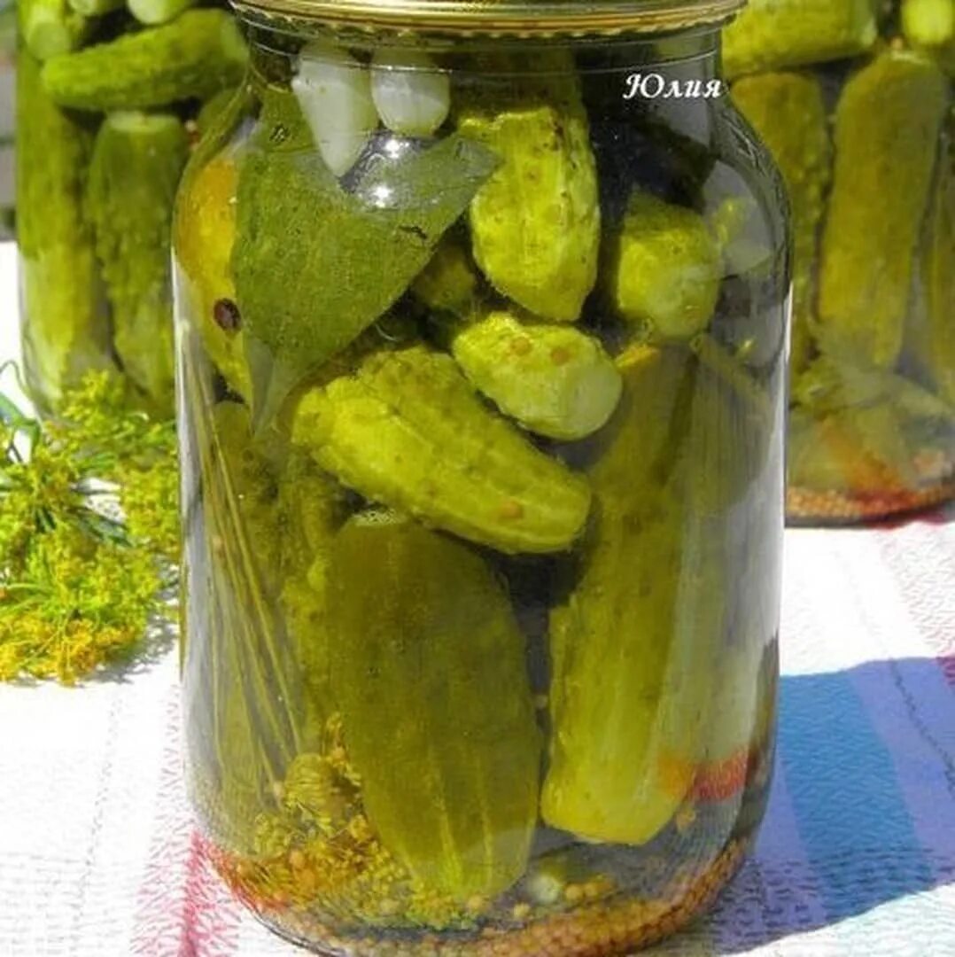 Огурчики для засолки. Рецепт быстрых маринованных огурцов. Рецепт быстрых маринованных огурцов. Малосольные огурчики малосольные огурчики. Рецепт быстрых маринованных огурцов.