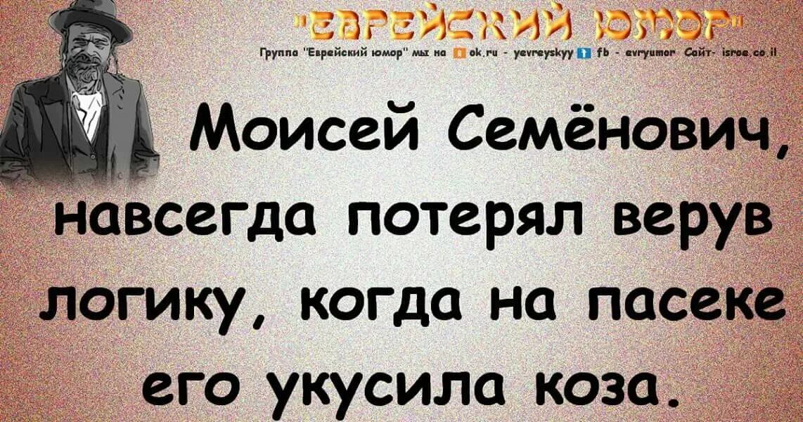 Юмор навсегда. Когда его на пасеке укусила коза. Мальчик, которого на пасеке укусила коза, перестал верить в логику.. Потерять навеки