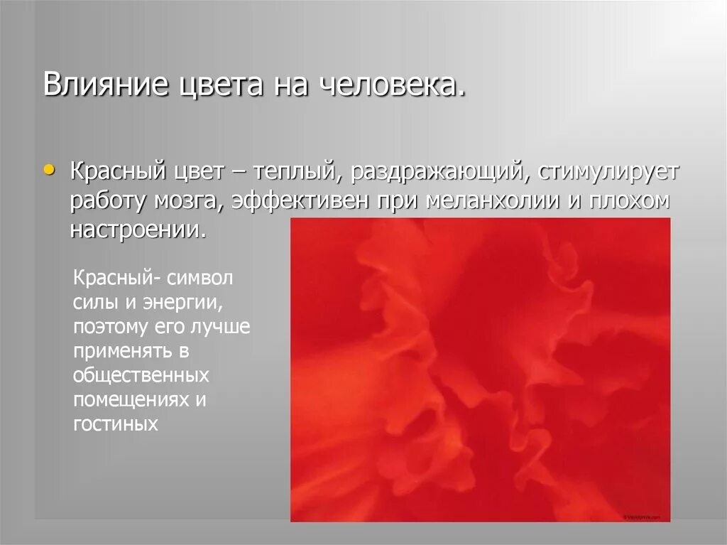 Красный цвет защищает. Влияние красного цвета на человека. красный цвет восприятие. влияние цвета. красный цвет и психика человека.