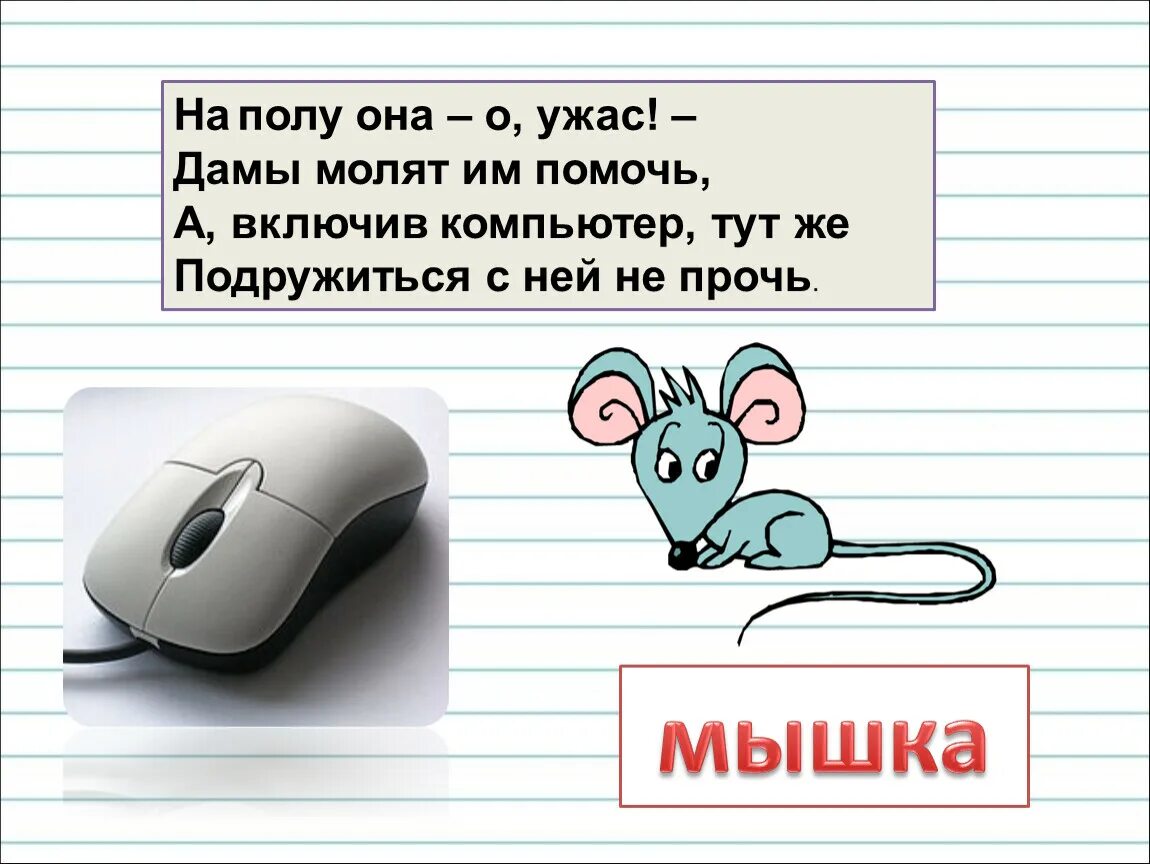 Загадка про мышь. Загадка про мышь компьютерную. Загадка про мышку. Загадки с омонимами. Английское слово мыши