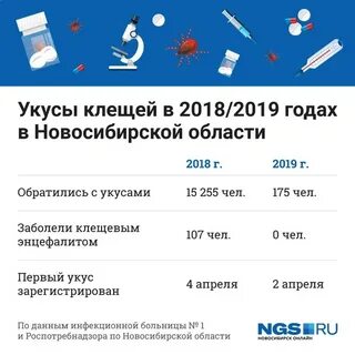 Куда обращаться если укусила