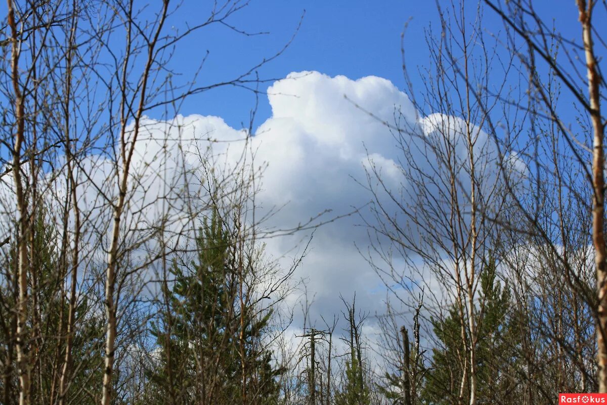 перьевые облака. небо весной. зимнее небо фото. облака зимой. ясное зимнее небо.