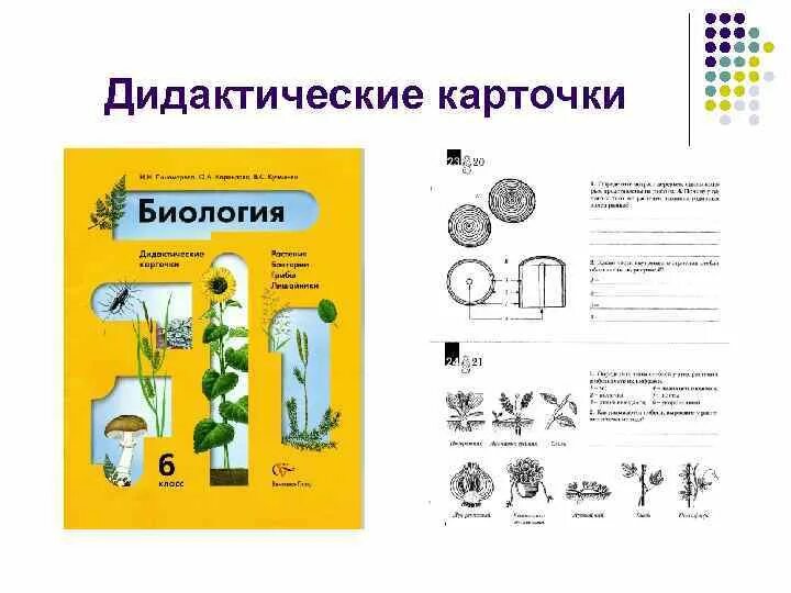 Дидактические карточки по биологии 8 класс. Карточки задания по биологии. Биология карточки с заданиями. Наглядный материал по биологии. Биология 6 класс контрольные материалы