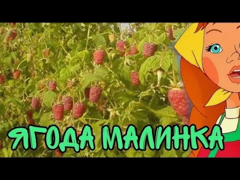 Кавер песня ягода малинка. Ягода Малинка тик ток. Ягода Малинка кавер дистори. Кавер Ягодка Малинка 8.