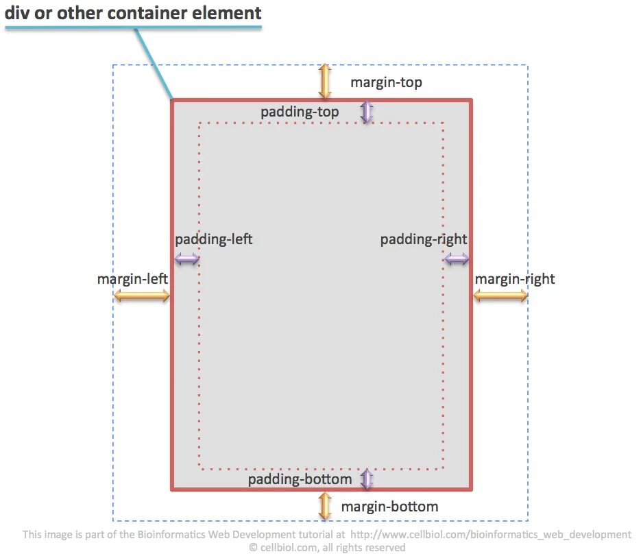 Margin left right. Отступы padding margin. отступы margin-bottom. разница между margin и padding. padding-top в html.