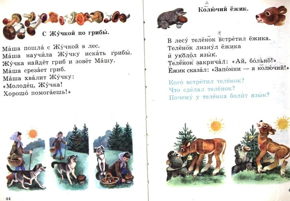 Текст ежи 6 класс. Еж и теленок теленок встретил ежа. Текст теленок встретил ежа. Еж и теленок диктант 3 класс теленок встретил ежа. Жучки в шампиньонах.