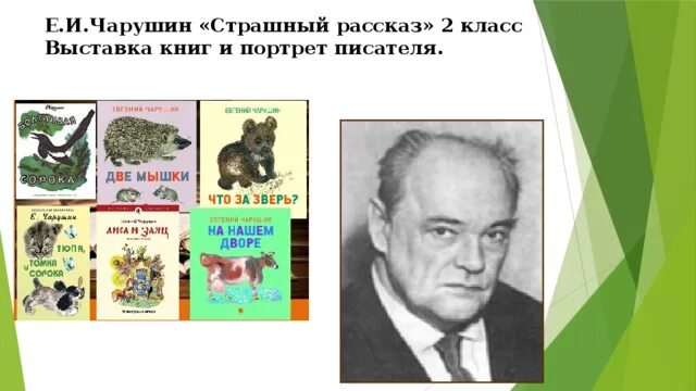 Страшный рассказ тема. Чарушин 1 класс литературное чтение школа России. Чарушин 1 класс литературное чтение.