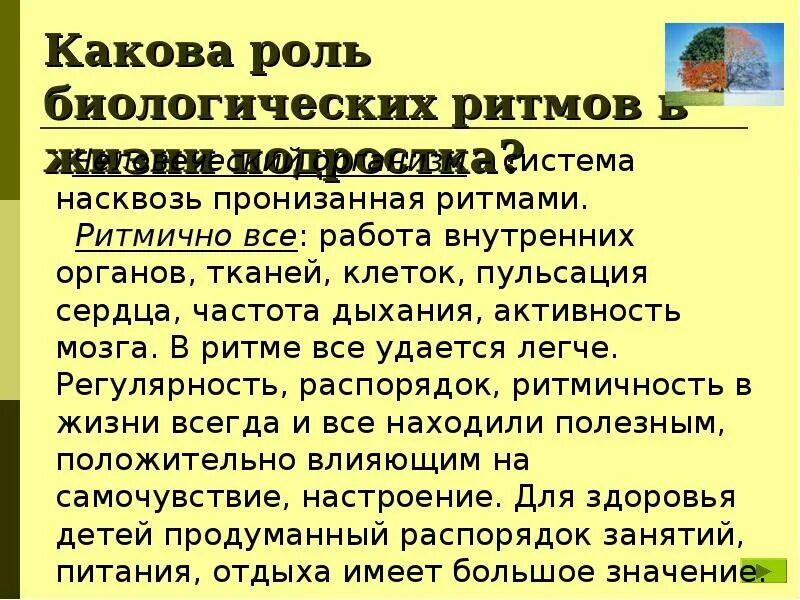 Активный человек сочинение. Роль биологических ритмов в жизни человека. Сочинение на тему роль ритма в жизни человека. Роль ритмичной деятельности в жизни человека. Каково значение биологических ритмов для организмов.