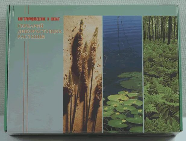 гербарий "дикорастущие растения" (28 видов). гербарий дикорастущих растений. гербарий дикорастущие растения. гербарий типы. гербарий дикорастущих растений.