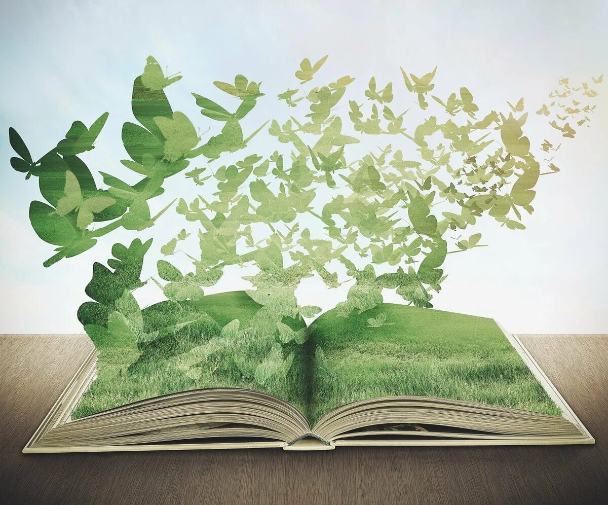 Книга на фоне леса. Книга на зелёном фоне. Открытая книга без фона. Книга на зелёном фоне. Книга на зелёном фоне.