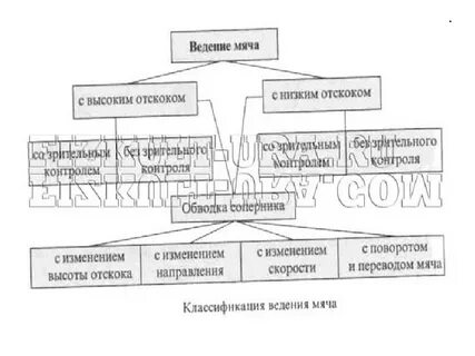 Назовите виды переводов мяча