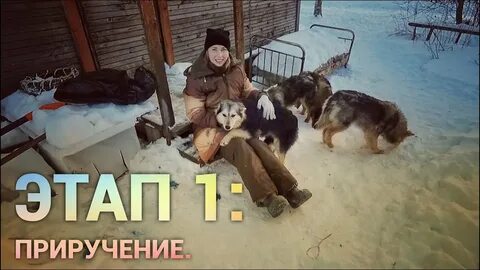 Приручила дикого