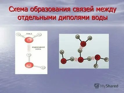 Химия в составе продуктов