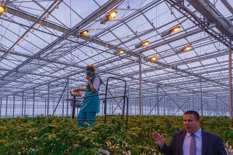 Агрокомплекс вакансии